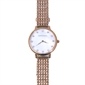 Bcbg_BG51001004