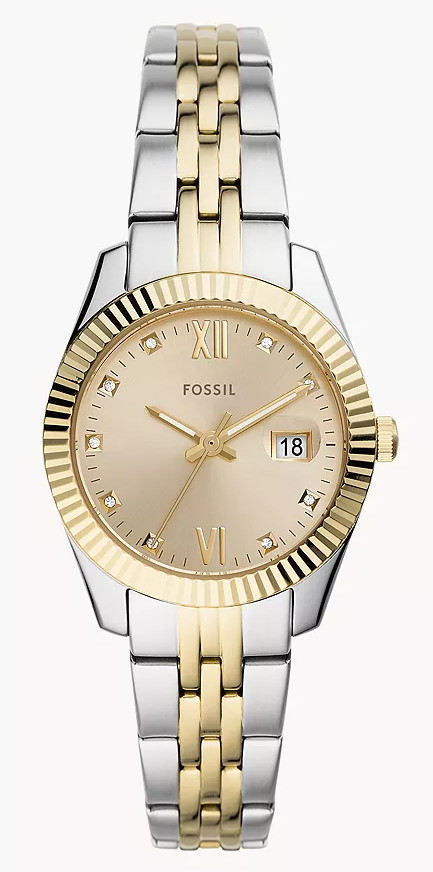 Fossil_ES4949