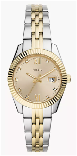 Fossil_ES4949