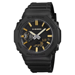 Casio_GA-2100LXB-1A9