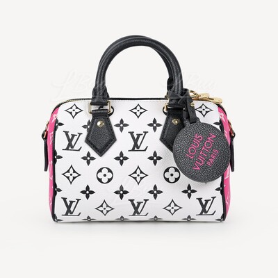 New Louis Vuitton Speedy 22 Bandouliere - LV Prefall 21- my thoughts +  purse inspiration - Speedy22 