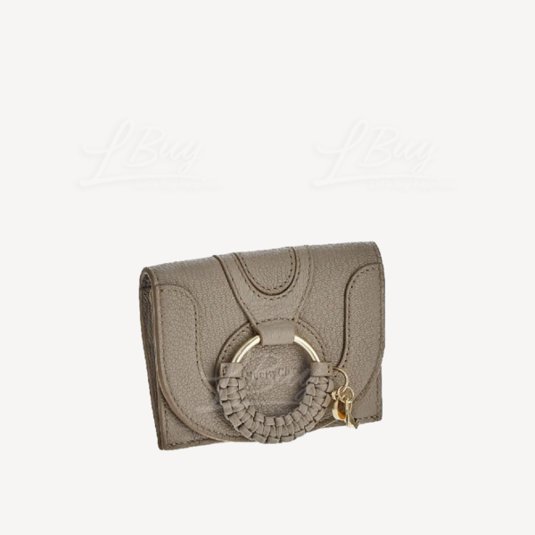 Chloe discount key pouch