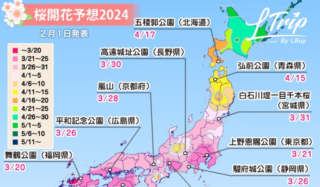 【🌸最新一輪2024日本櫻花預測公開！🌸 】