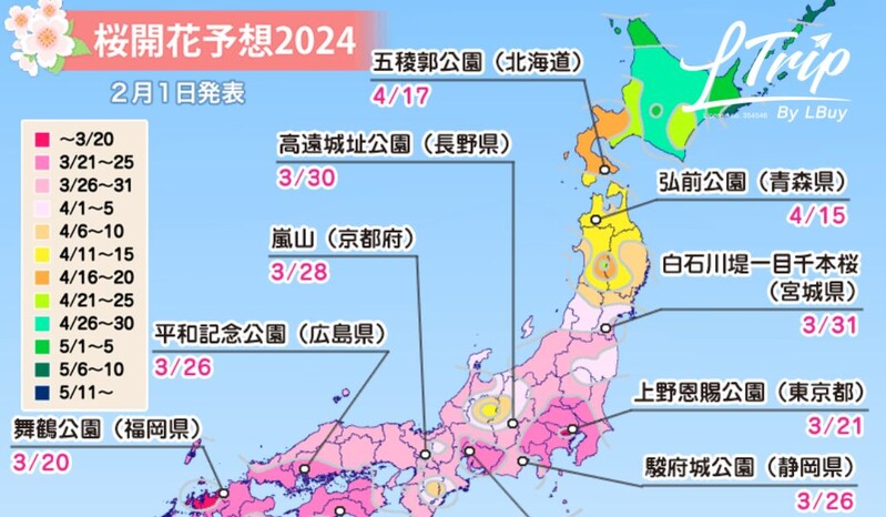 【🌸最新一輪2024日本櫻花預測公開！🌸 】