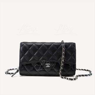 Chanel Wallet On Chain with phone case AP1744