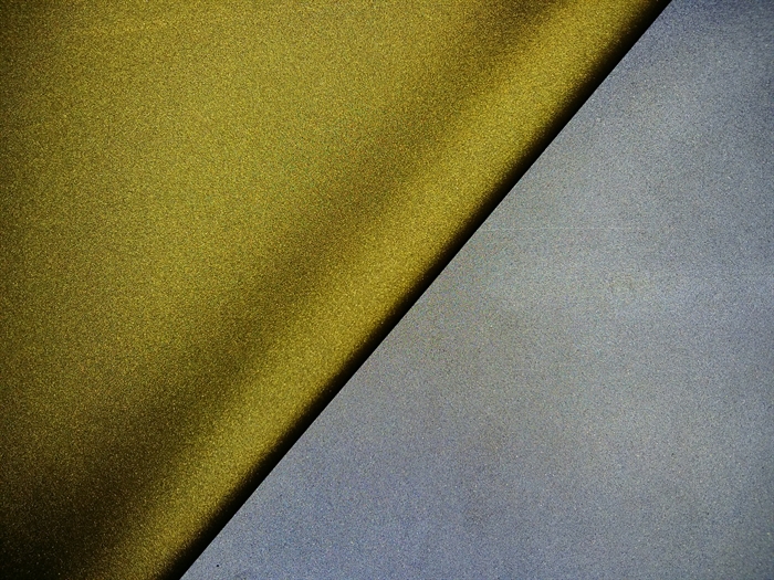 SF2010