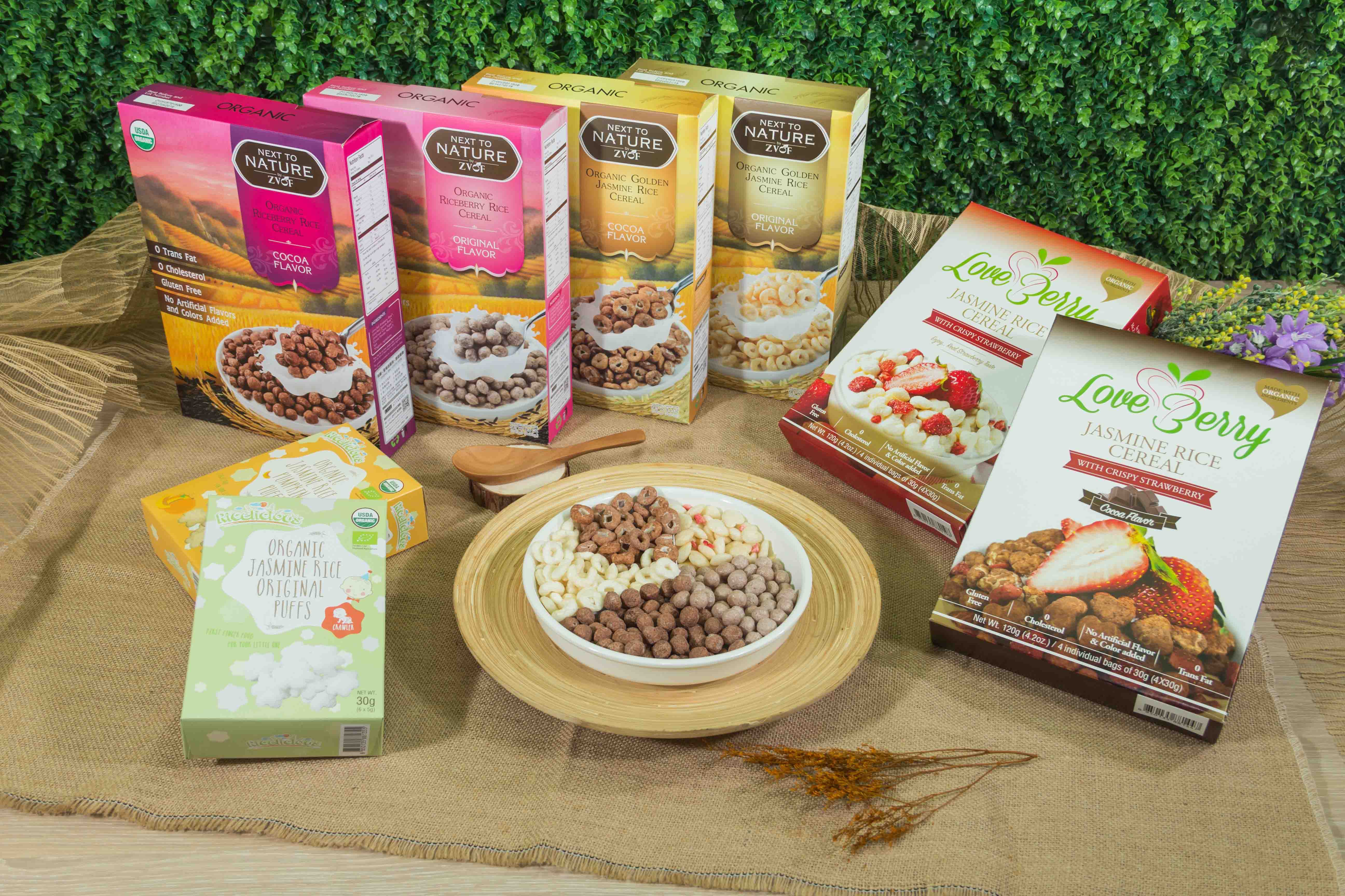 delicacy award-organic golden jasmine rice cereal (cocoa)245g