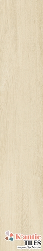 KT212FH01