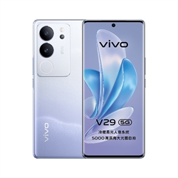 vivo V29 5G