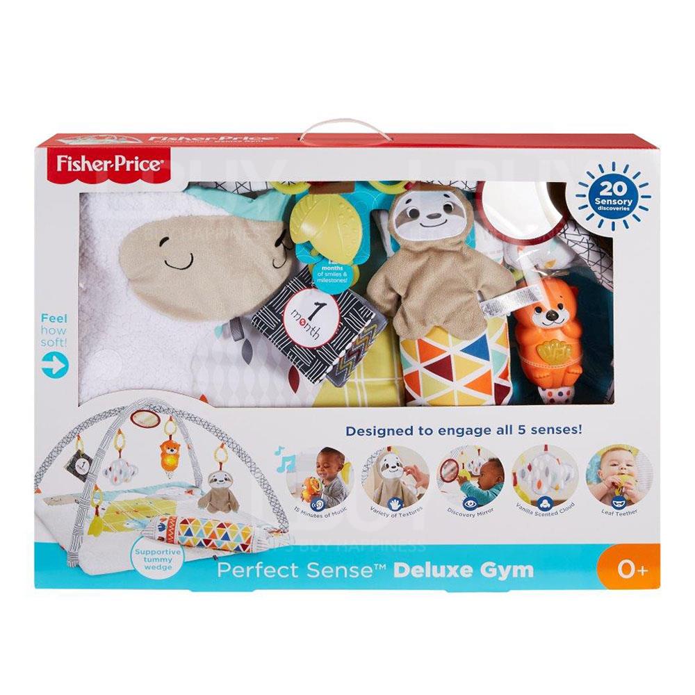 費雪感官訓練可愛動物健身器