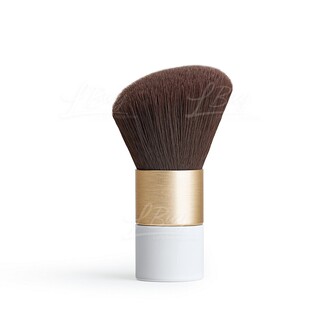 Travel Blush Brush