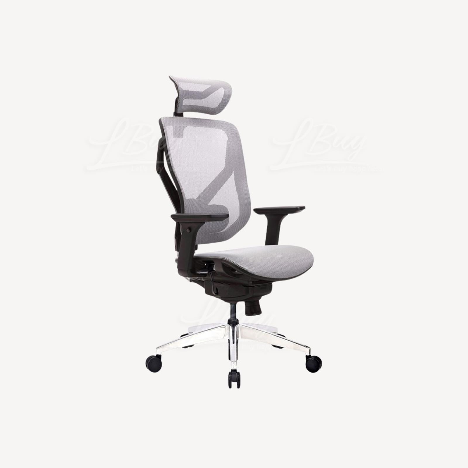 GTCHAIR VIDA-M Ergonomic Mesh Chair GREY