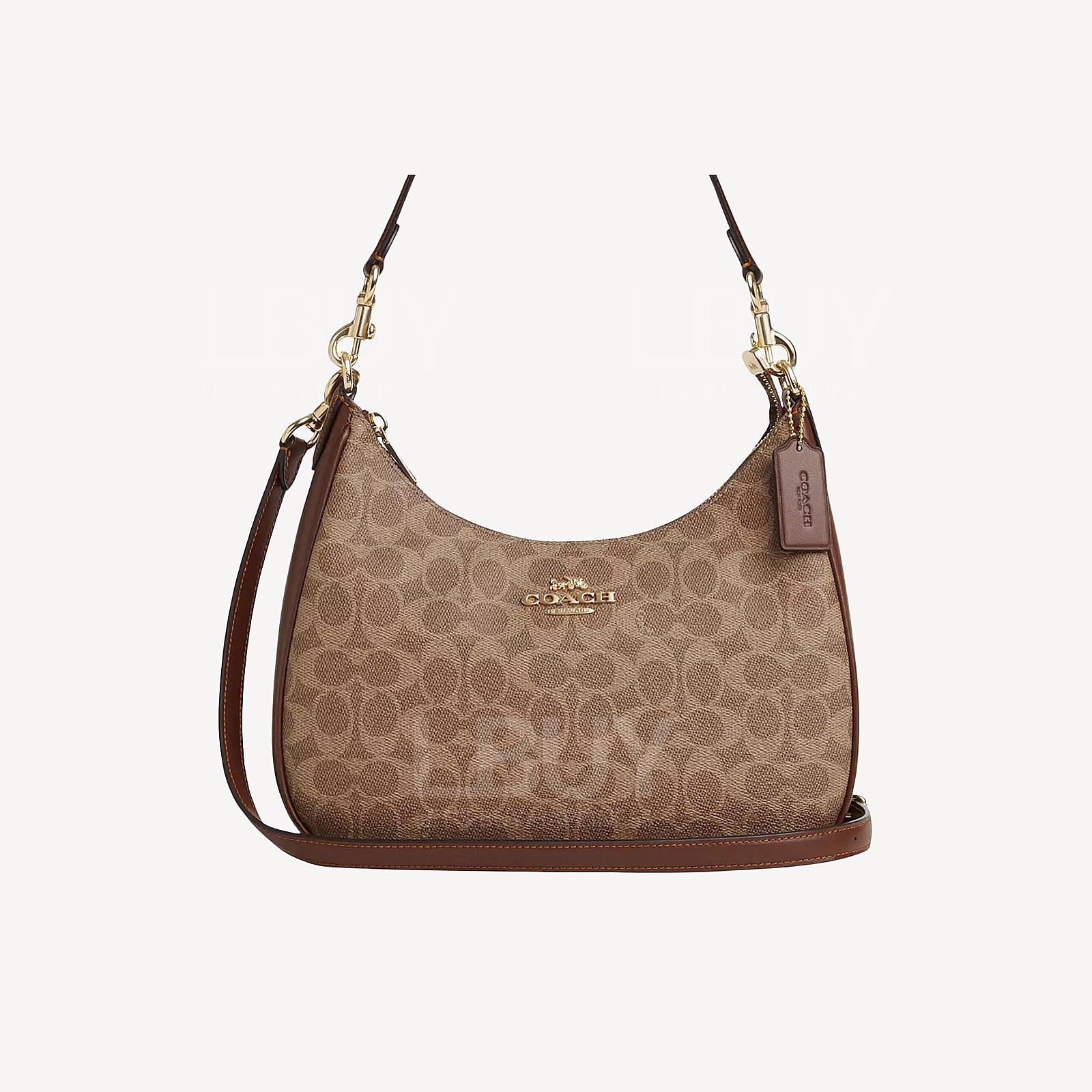 Coach Teri Hobo Bag In Blocked Signature Canvas