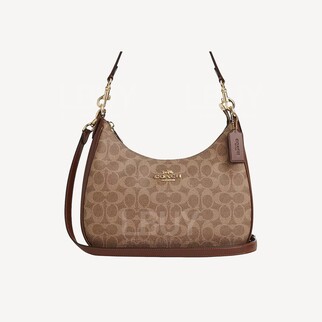 Coach Teri Hobo Bag In Blocked Signature Canvas