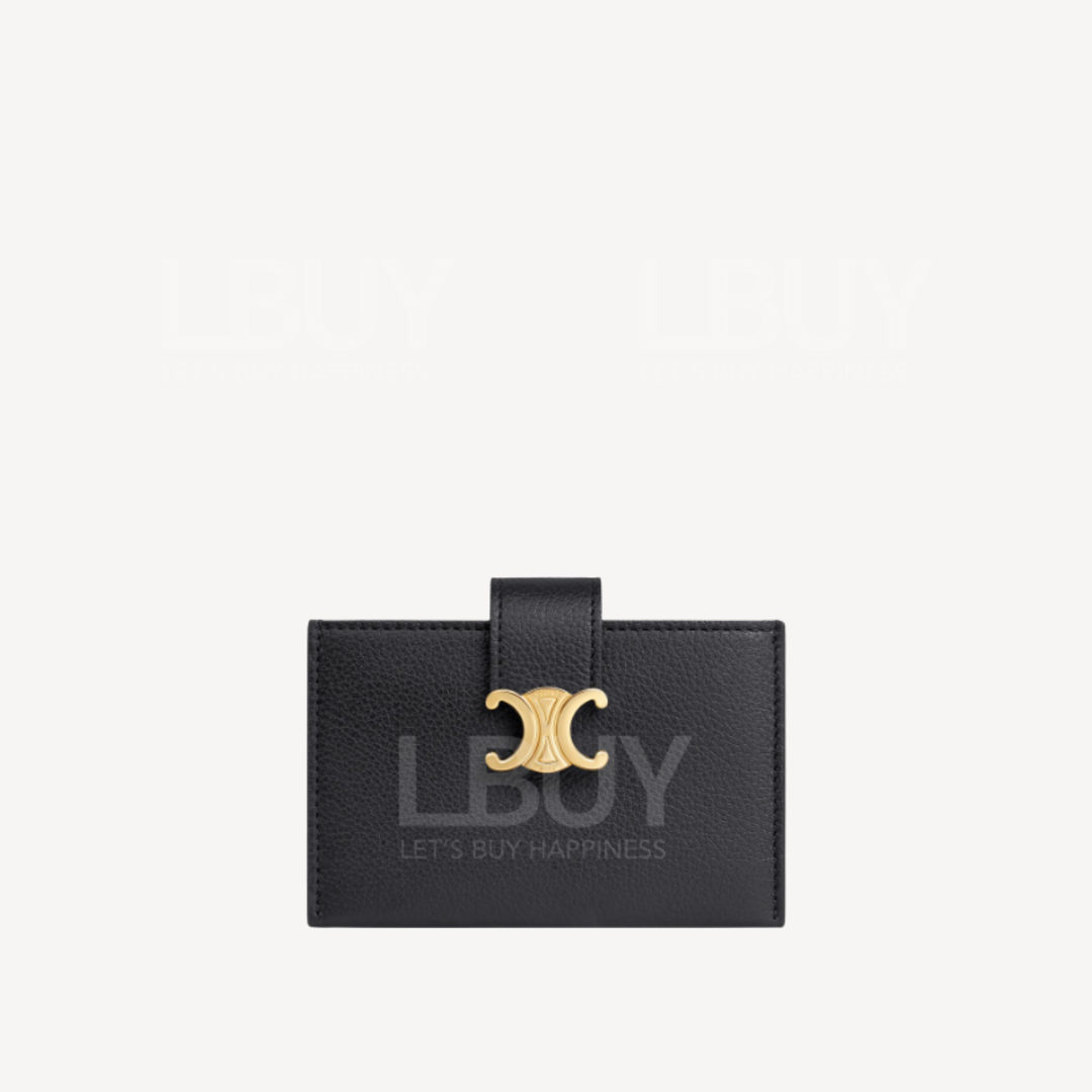 Celine Golden Triumphal Gate Logo Nino Accordion Organ Card Bag Black