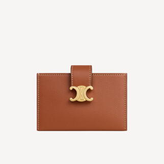 Celine Golden Triumphal Door Logo Nino Accordeon Card Bag Tan